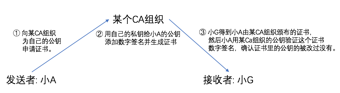 CA组织作用示意图